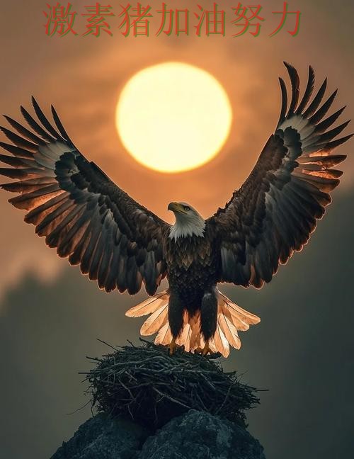 老鹰争冠前景出现变化