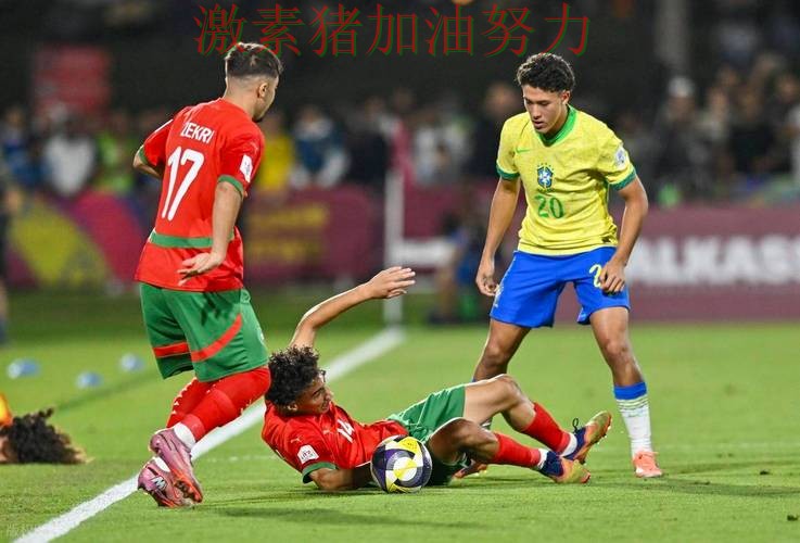 巴西防守稳固让球迷期待值迅速拉满